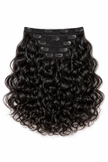 Loose Curly Raw Indian Clip Ins